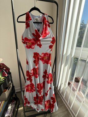 Baby blue and red floral dress